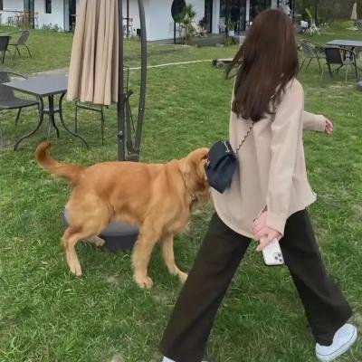 生而为蓝